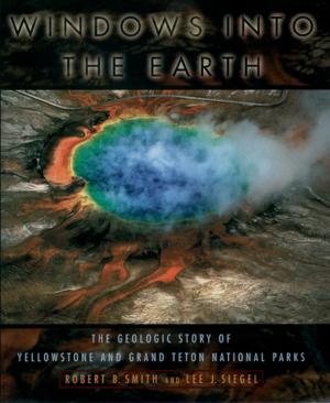 Book cover of Windows into the Earth