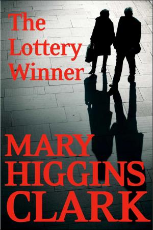 Cover of the book The Lottery Winner by Elisabeth Egan