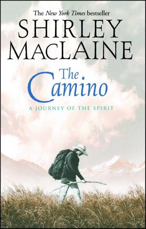 Cover of the book The Camino by Cathy Alter