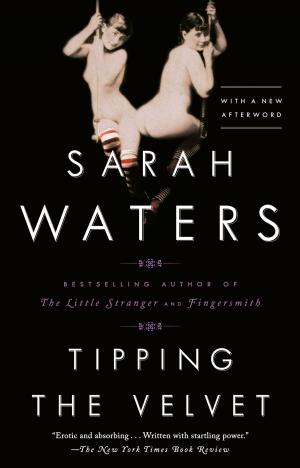 Cover of the book Tipping the Velvet by David Lindsay