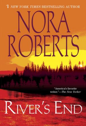 Cover of the book River's End by Barbara Okun, Joseph Nowinski
