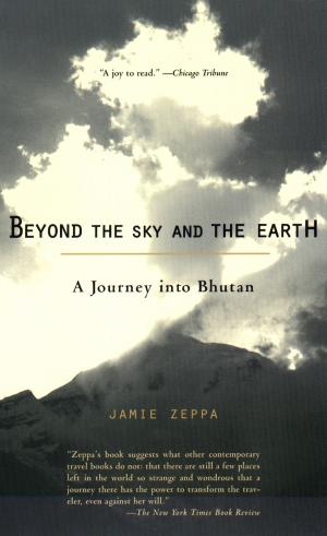 Cover of the book Beyond the Sky and the Earth by Dr. Peter J. D'Adamo