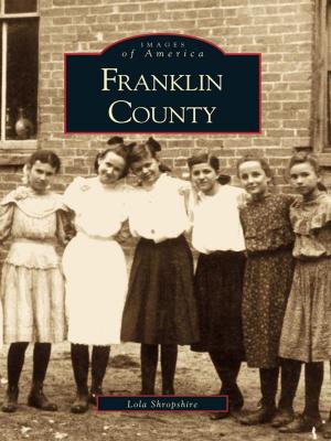 Cover of the book Franklin County by Stan Byrdy