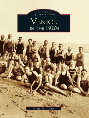 Cover of the book Venice in the 1920s by Robert Tuholski Ph.D.