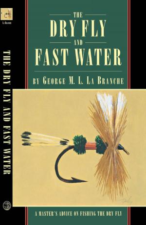 Cover of the book The Dry Fly and Fast Water by Larry Larsen
