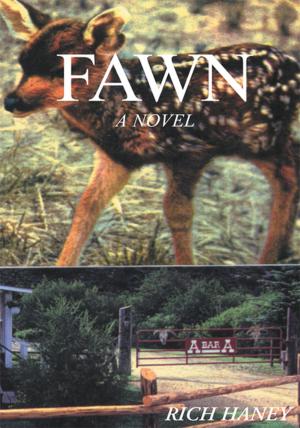 Cover of the book Fawn by Mildred Trautman Bunn