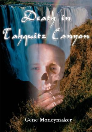Cover of the book Death in Tahquitz Canyon by David Kowalewski