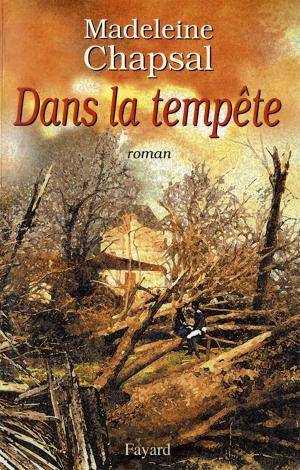 Cover of the book Dans la tempête by Pierre Joxe