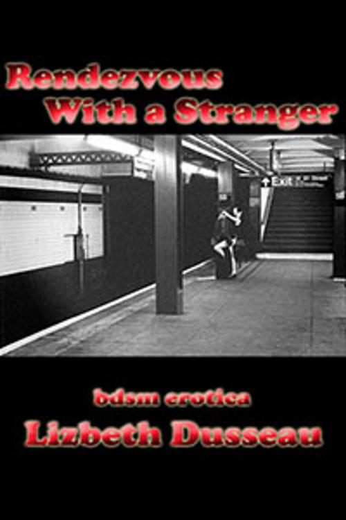Cover of the book Rendezvous With A Stranger by Lizbeth Dusseau, Pink Flamingo Publications