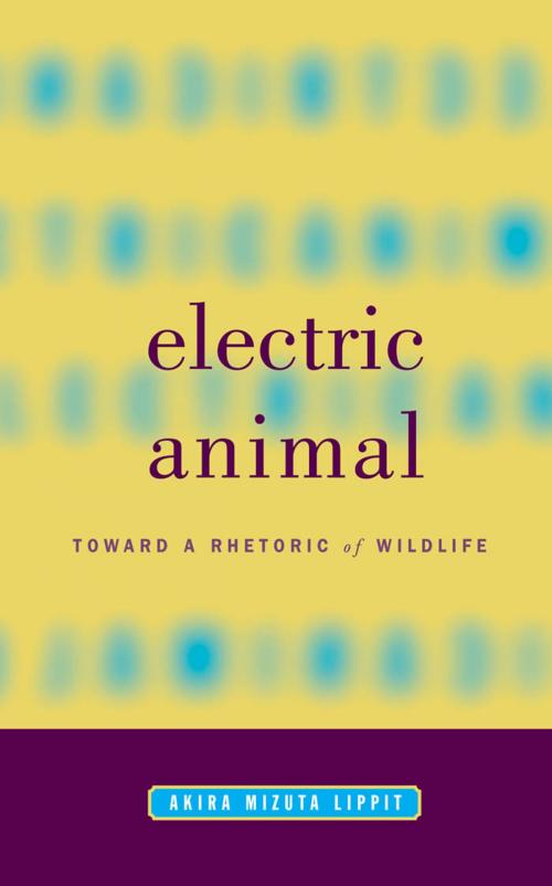 Cover of the book Electric Animal by Akira Mizuta Lippit, University of Minnesota Press
