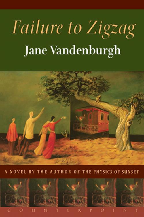 Cover of the book Failure To Zigzag by Jane Vandenburgh, Counterpoint
