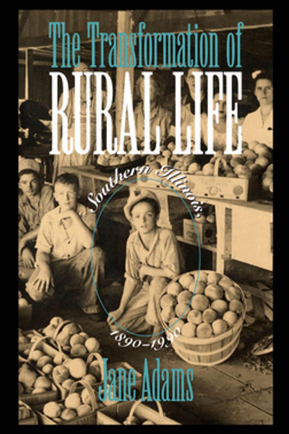 Big bigCover of The Transformation of Rural Life