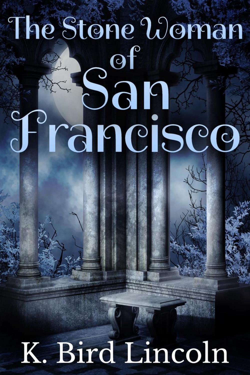 Big bigCover of The Stone Woman of San Francisco: A Dark Short Story