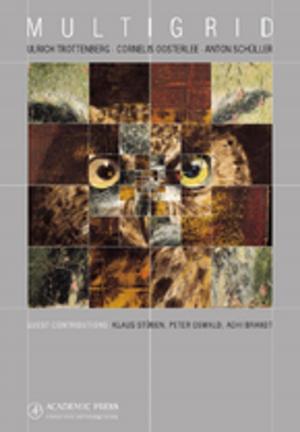 Cover of the book Multigrid by Andrei N Rodionov, Alexander F Getman, Gennadij V Arkadov