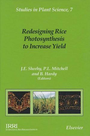 Cover of the book Redesigning Rice Photosynthesis to Increase Yield by Jivka Deiters, Gerhard Schiefer