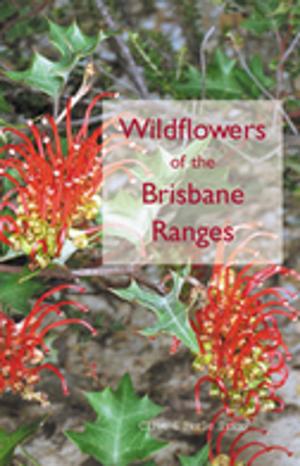 Cover of the book Wildflowers of the Brisbane Ranges by R Brewer, JR Sleeman