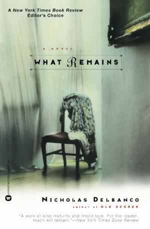Cover of the book What Remains by Steve Martin