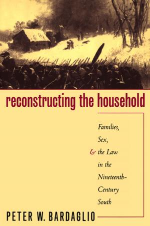Cover of the book Reconstructing the Household by Pamela Major-Poetzl