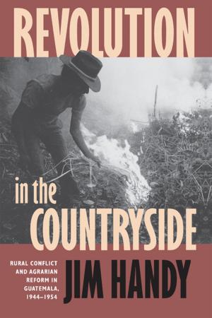 Cover of the book Revolution in the Countryside by Daphne Spain