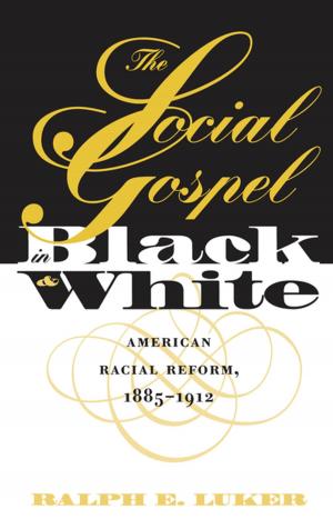 Cover of the book The Social Gospel in Black and White by Darlene Rivas