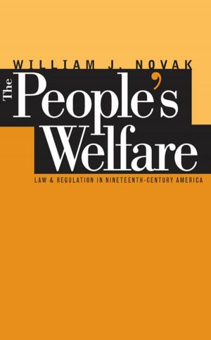 Cover of the book The People’s Welfare by Ronald L. Lewis