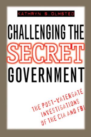 Cover of the book Challenging the Secret Government by Steve Estes