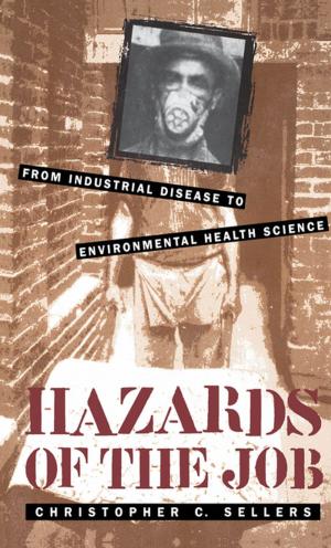 Cover of the book Hazards of the Job by Cheryl D. Hicks