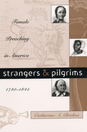 Book cover of Strangers and Pilgrims