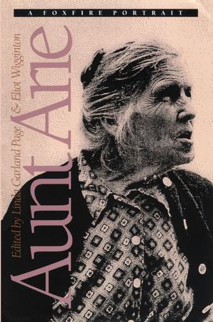 Cover of the book Aunt Arie by Lisa Wilson