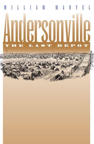 Cover of the book Andersonville by Elizabeth R. Escobedo