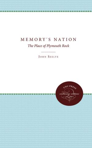 Cover of the book Memory's Nation by Bruce Jackson, Diane Christian