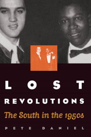 Cover of the book Lost Revolutions by David E. Whisnant