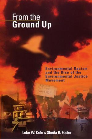 Cover of the book From the Ground Up by Corey S. Shdaimah