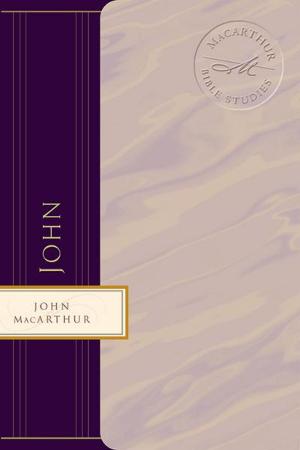 Cover of the book John by Marilyn Meberg