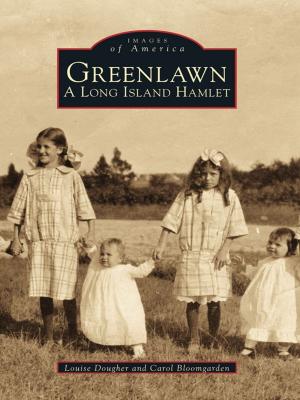 Cover of the book Greenlawn by John M. Brewer Jr.