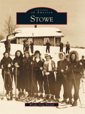 Cover of the book Stowe by Rita Papazian