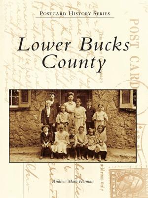 Cover of the book Lower Bucks County by David Norton Stone