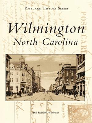 Cover of the book Wilmington, North Carolina by Rita Connelly