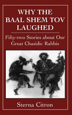 Cover of the book Why the Baal Shem Tov Laughed by Sidney Greenberg