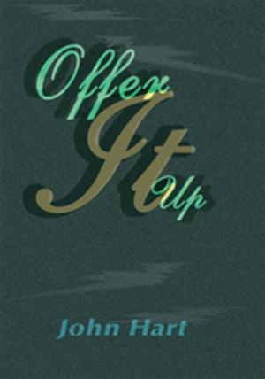 Book cover of Offer It Up