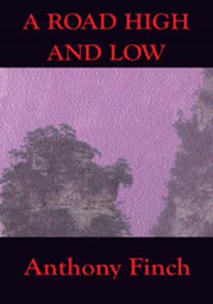 Cover of the book A Road High and Low by Tavares Gill