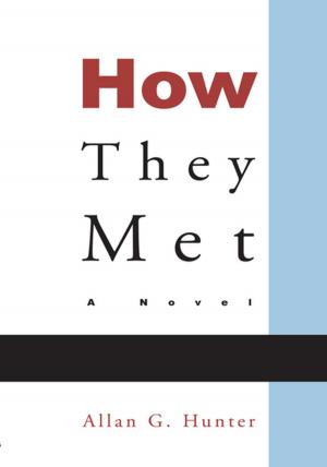 Book cover of How They Met