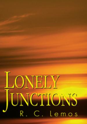 Cover of the book Lonely Junctions by Sunny Lu