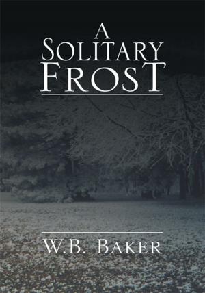Cover of the book A Solitary Frost by Richard Wesley Clough