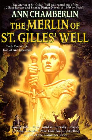 Cover of the book The Merlin of St. Gilles' Well by Dennis Danvers