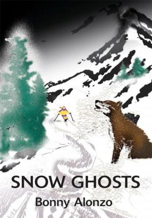 Cover of the book Snow Ghosts by B. Louis Richardson