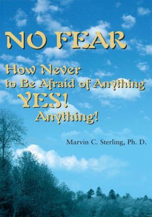 Book cover of No Fear