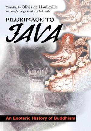 Cover of the book Pilgrimage to Java by Bruce Abrahams