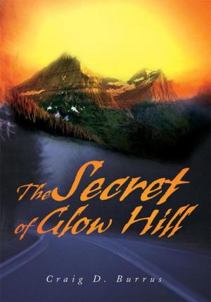 Cover of the book The Secret of Glow Hill by David Goodman