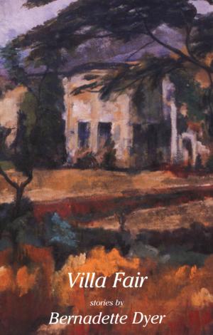 Cover of the book Villa Fair by Dan Soucoup